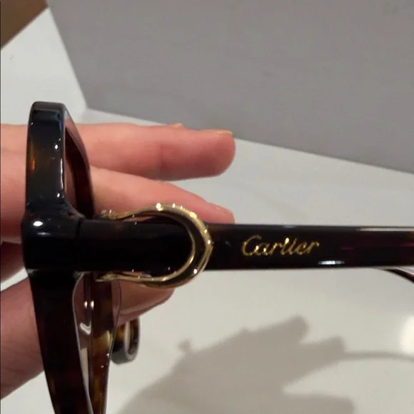 Cartier Classic Brown Sunglasses - Picture 3 of 15